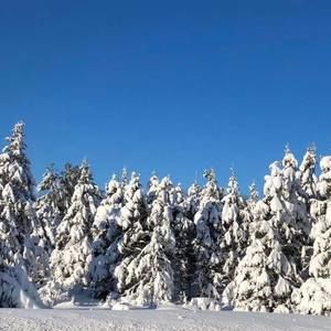 Meet your Posher, Ann